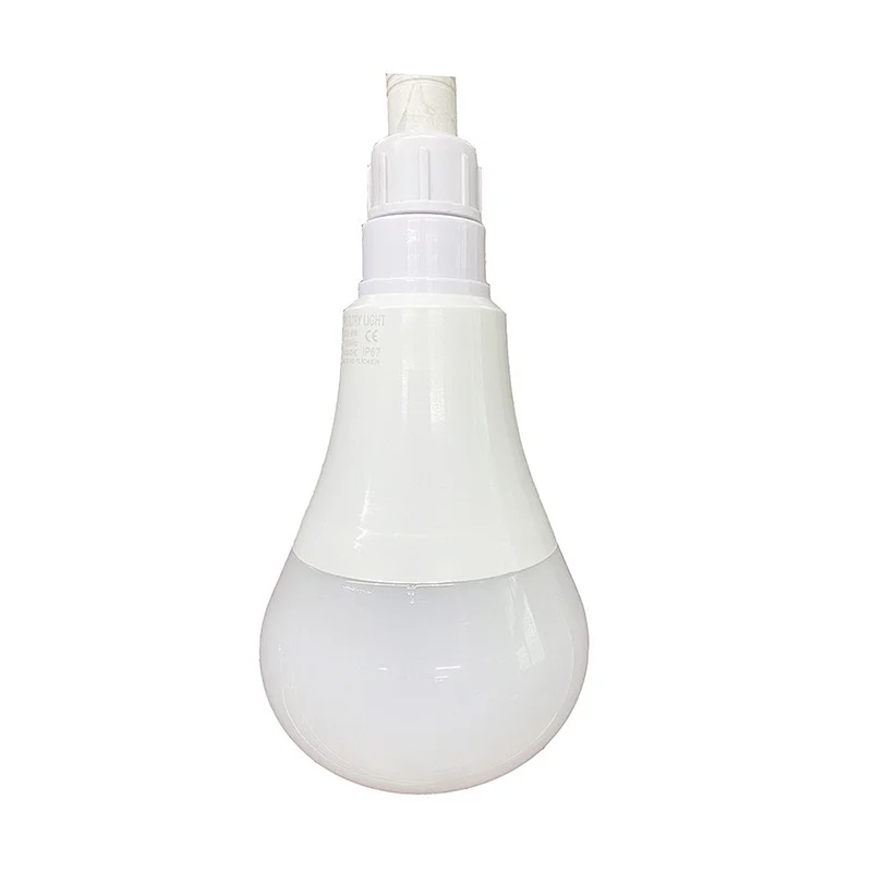 Poultry chicken breeding bulbs