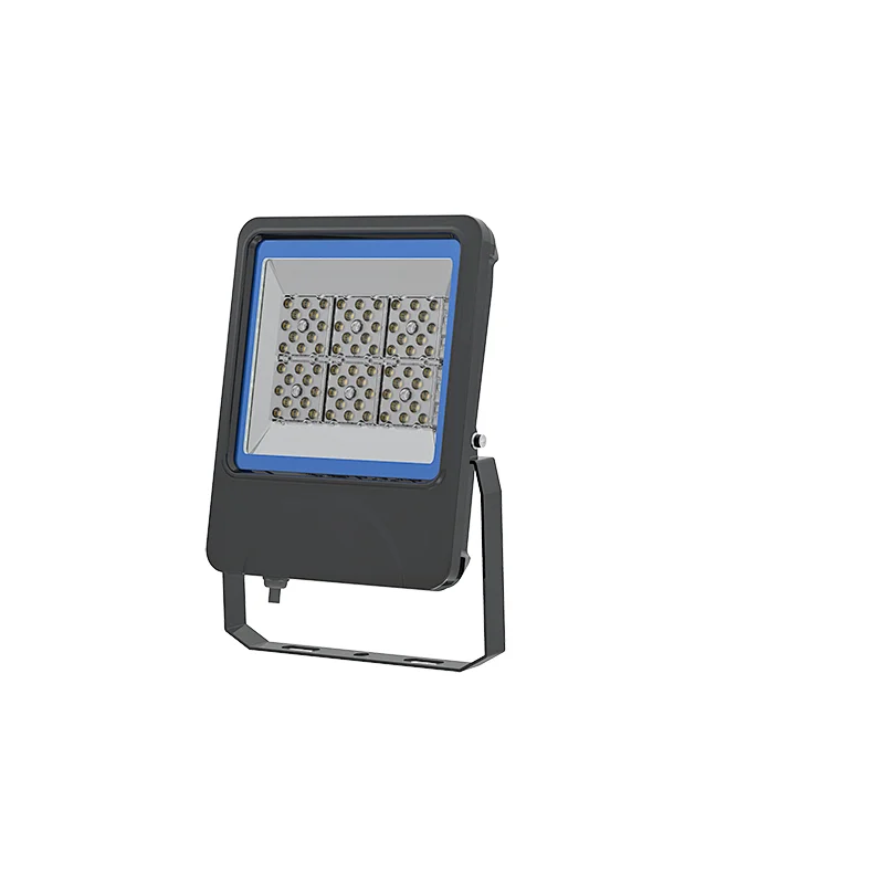 Diamond I Narrow B 30W-200W Flood Light