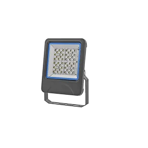 Diamond I Narrow B 30W-200W Flood Light