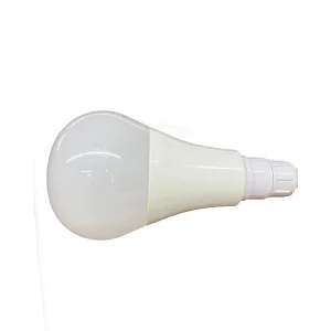Poultry chicken breeding bulbs