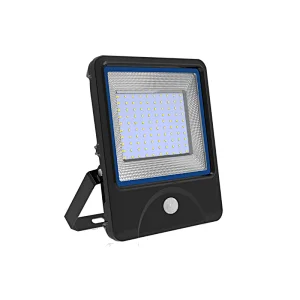 Diamond I RGB 10W-100W Flood Light