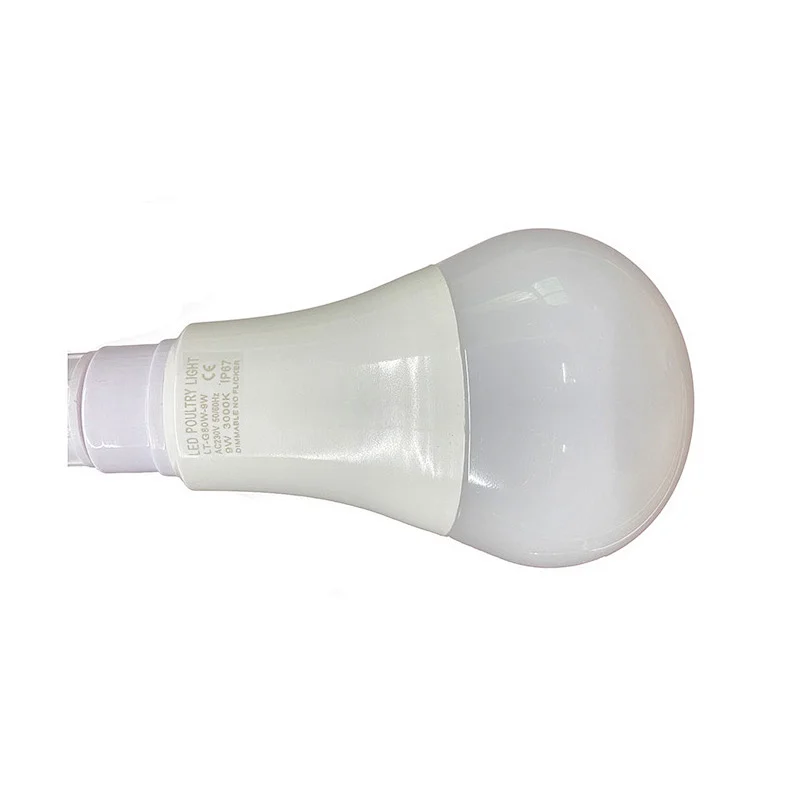 Poultry chicken breeding bulbs
