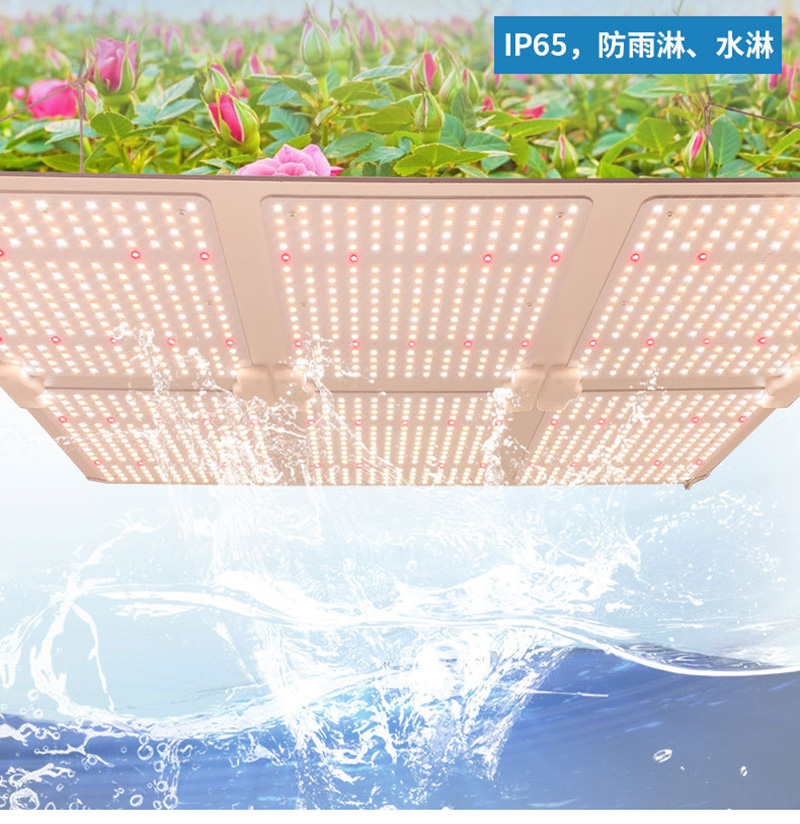 Quantum version grow light 100W 200W 300W 400W 600W