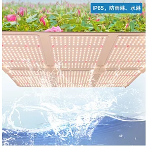 Quantum version grow light 100W 200W 300W 400W 600W