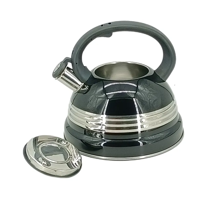 induction water kettle