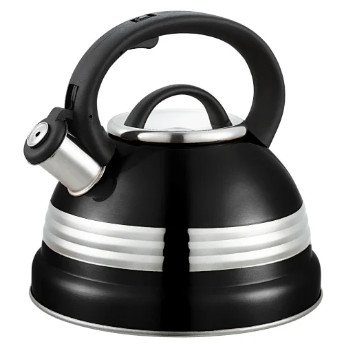 induction water kettle