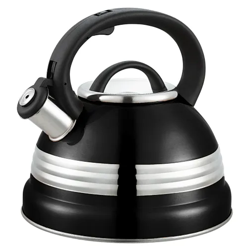 induction water kettle