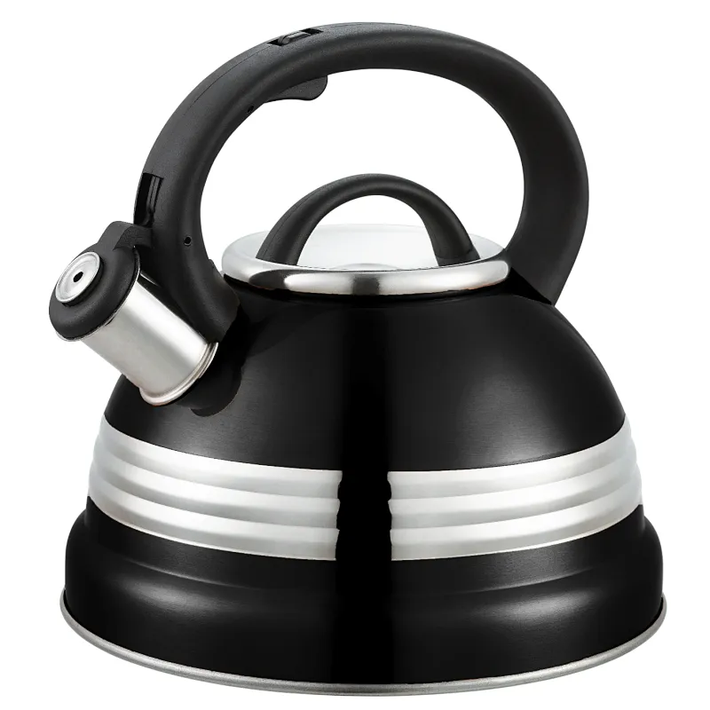 induction water kettle