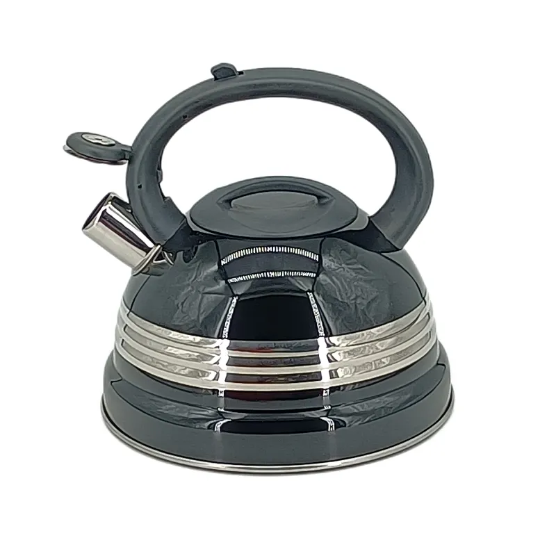 induction water kettle