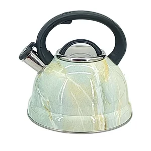 kettle for gas stove