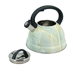 kettle for gas stove