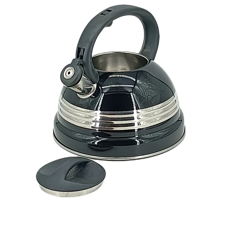 induction water kettle