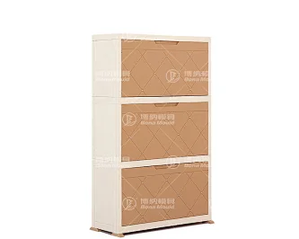 Shoe Rack Mould