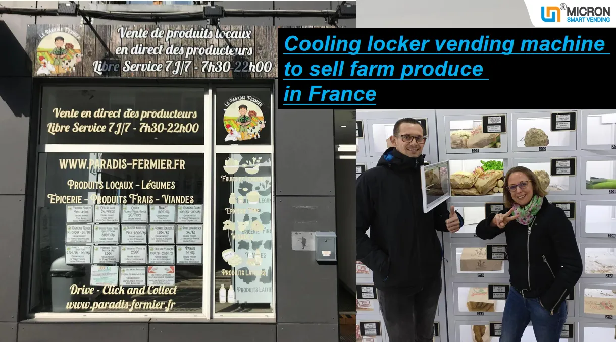 Egg Cooling Locker Vending Machine with 22-inch Touchscreen and Card Reader sell farm produce in France
