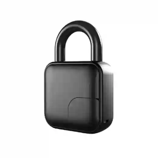 Mini Fingerprint Padlock