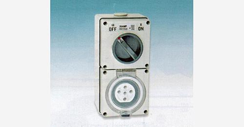 Combination Switched Sockets from China Manufacturer - Sasco (Zhejiang ...