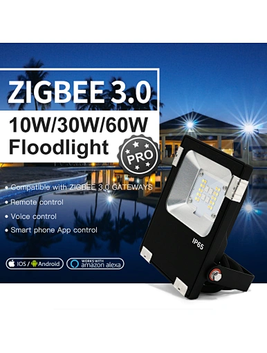 led floodlight rgb 10W
