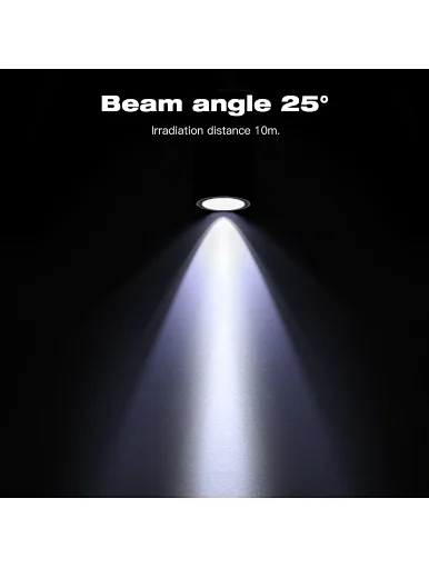 Outdoor Smart wall light IP65 rgbcct