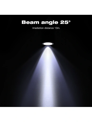 Outdoor Smart wall light IP65 rgbcct