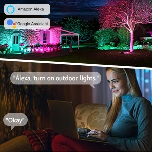 smart flood light 100W