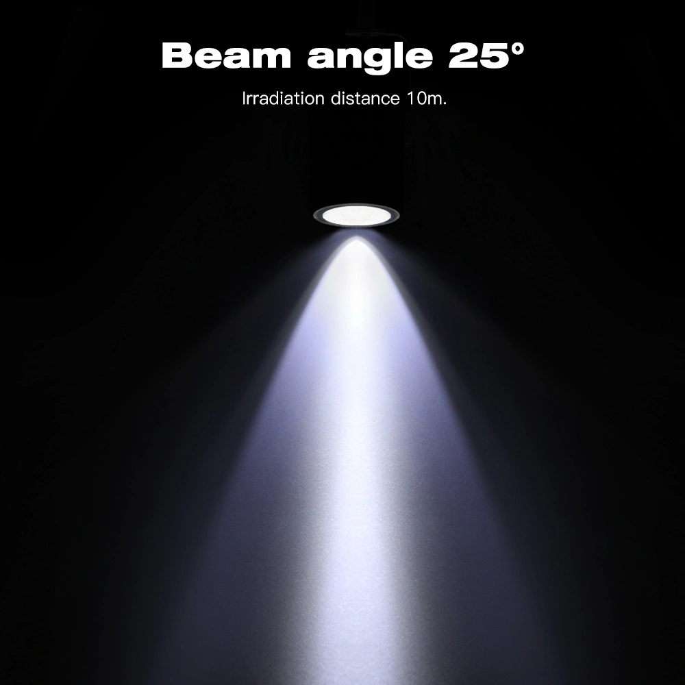 rgbw led Garden Light remote control