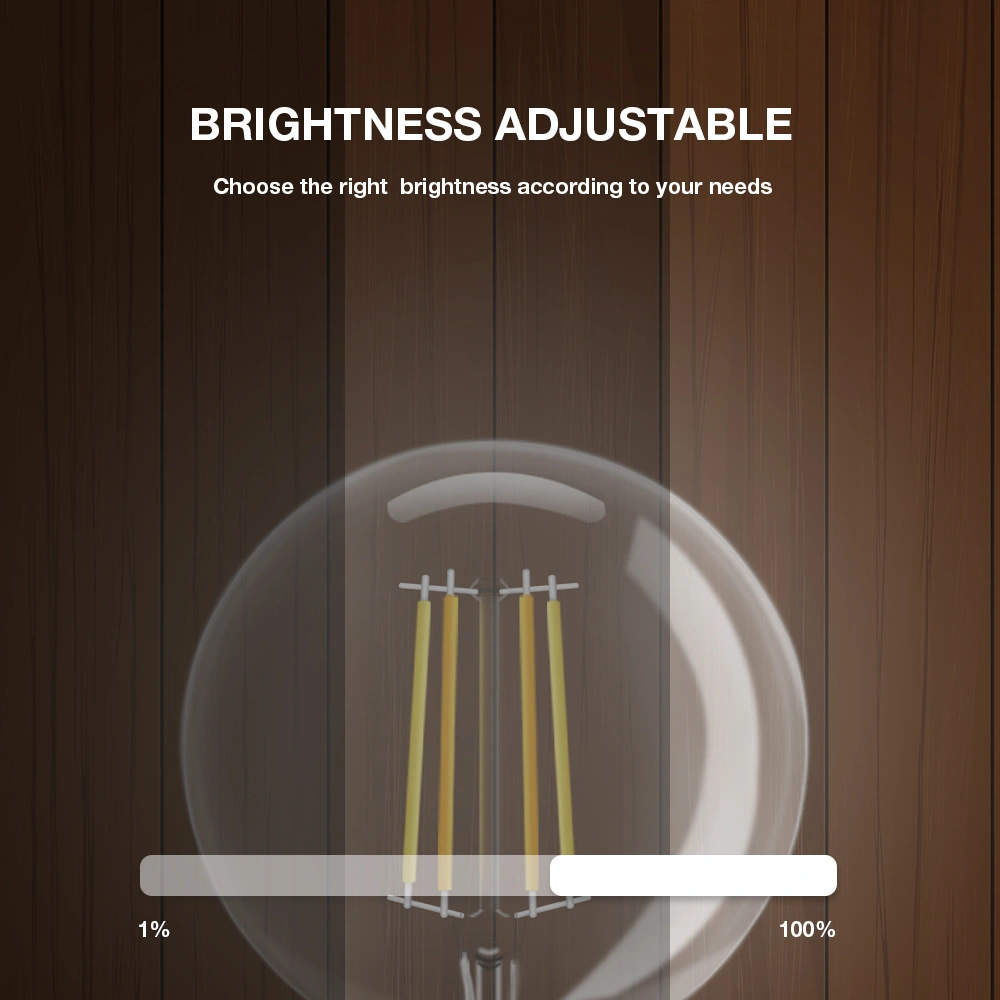 smart led bulb G95