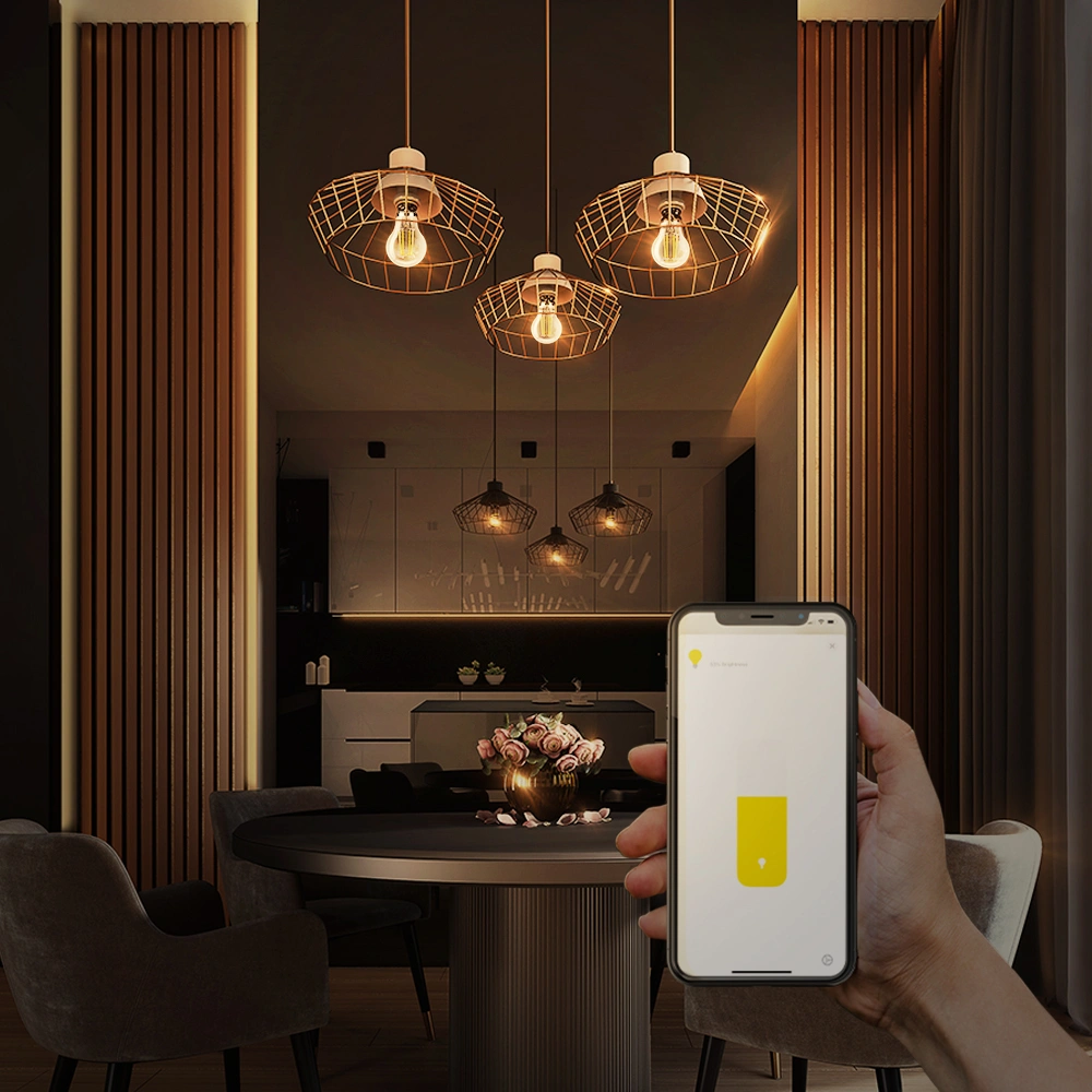 smart led bulb G95