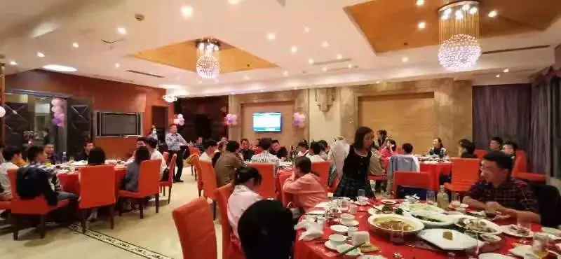 rgb led projector 30W