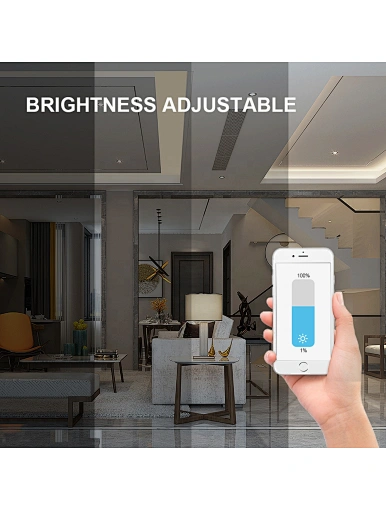 Zigbee down light
