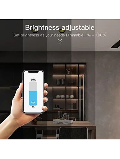 rgb smart downlight