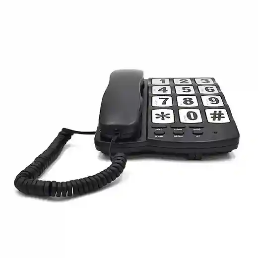 Cheeta Big Button Telephone CT-TF255