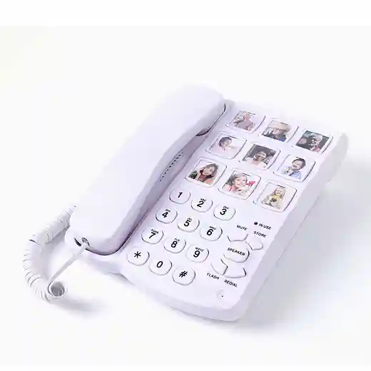 Cheeta Big Button Telephone CT-TF259