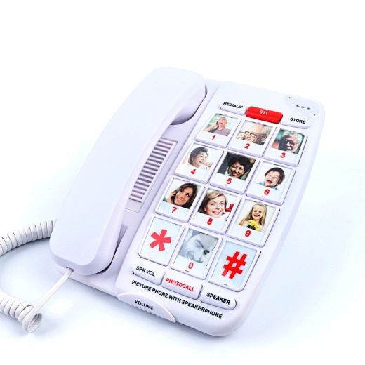 Cheeta Big Button Telephone CT-TF267SP