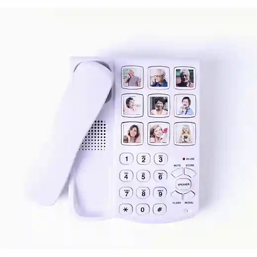 Cheeta Big Button Telephone CT-TF259
