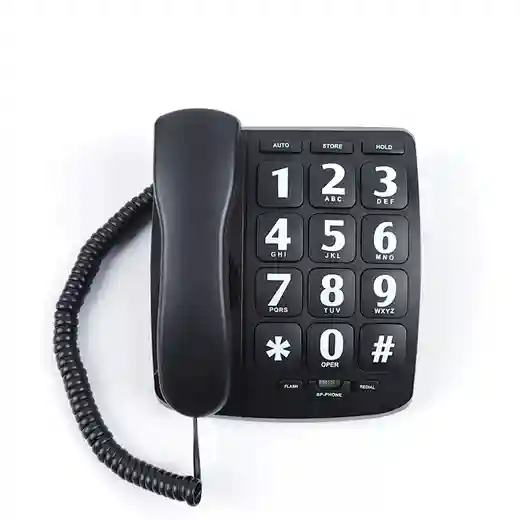 Cheeta Big Button Telephone CT-TF253
