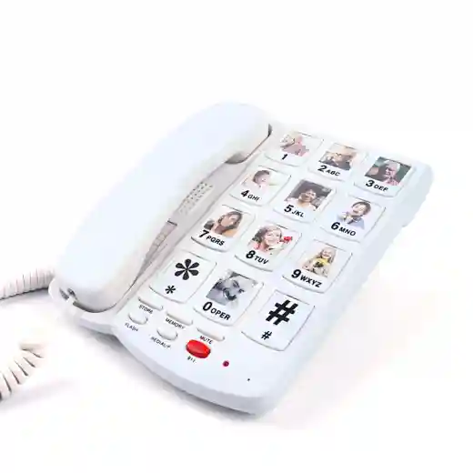 Cheeta Big Button Telephone CT-TF258