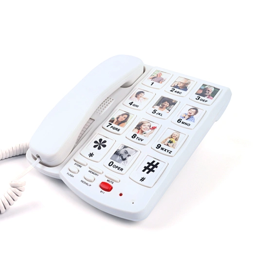 Cheeta Big Button Telephone CT-TF258