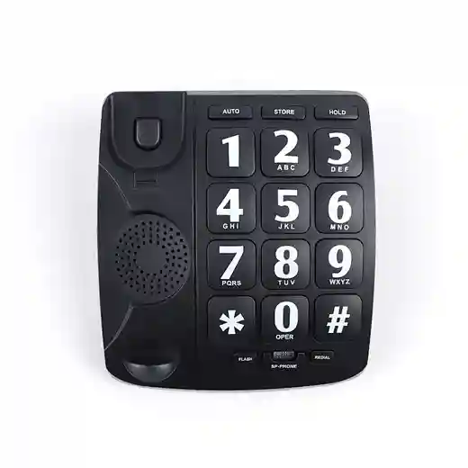 Cheeta Big Button Telephone CT-TF253