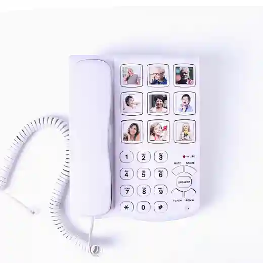 Cheeta Big Button Telephone CT-TF259
