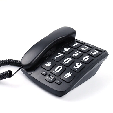 Cheeta Big Button Telephone CT-TF253