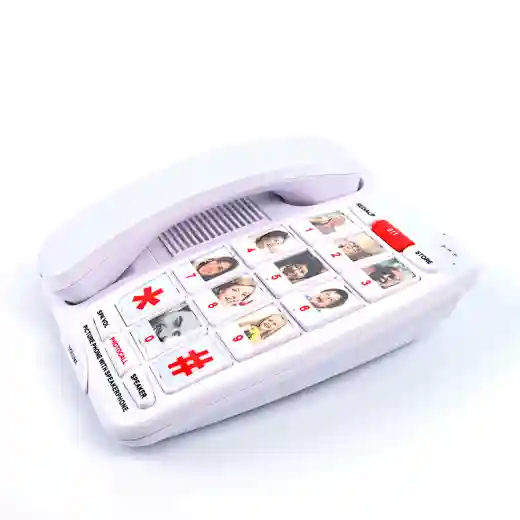 Cheeta Big Button Telephone CT-TF267SP