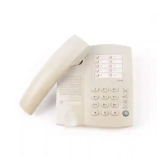 CHEETA Basic Telephone CT-TF219