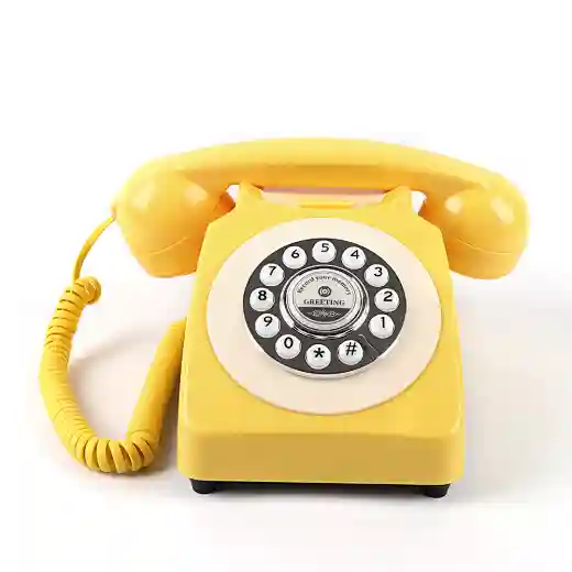 Banquet reception recording telephone