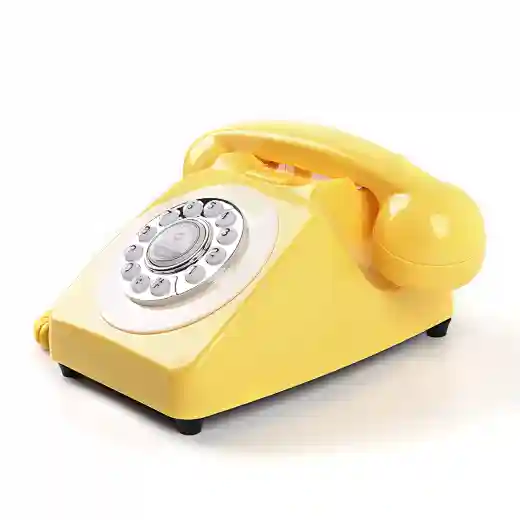 Banquet reception recording telephone