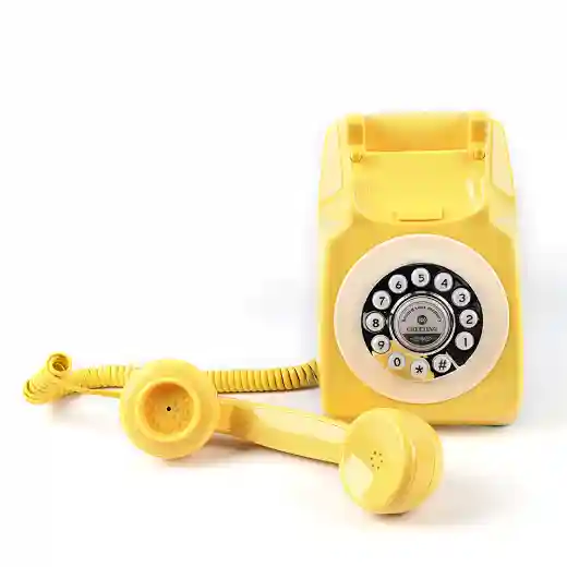 Banquet reception recording telephone