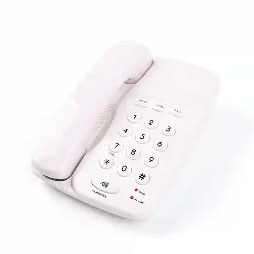 cheeta Basic Telephone CT-TF249