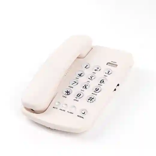 CHEETA Basic Telephone CT-TF219