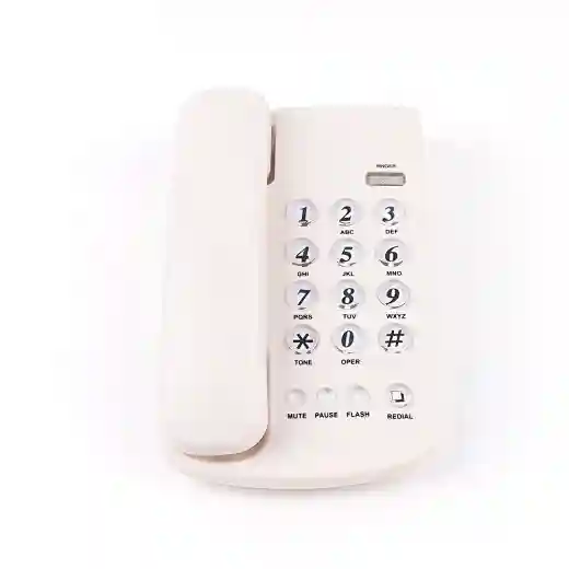 CHEETA Basic Telephone CT-TF219