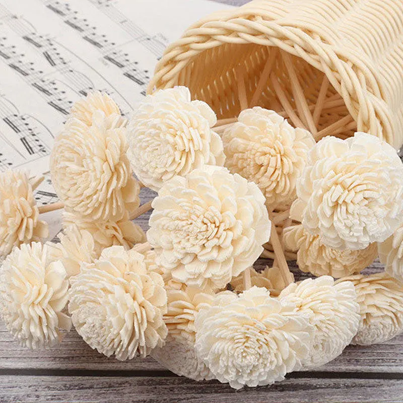 sola flowers bulk