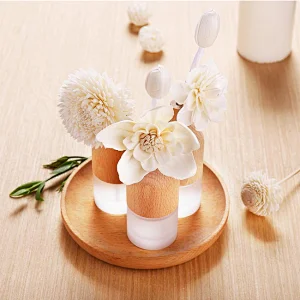 reed diffuser natural